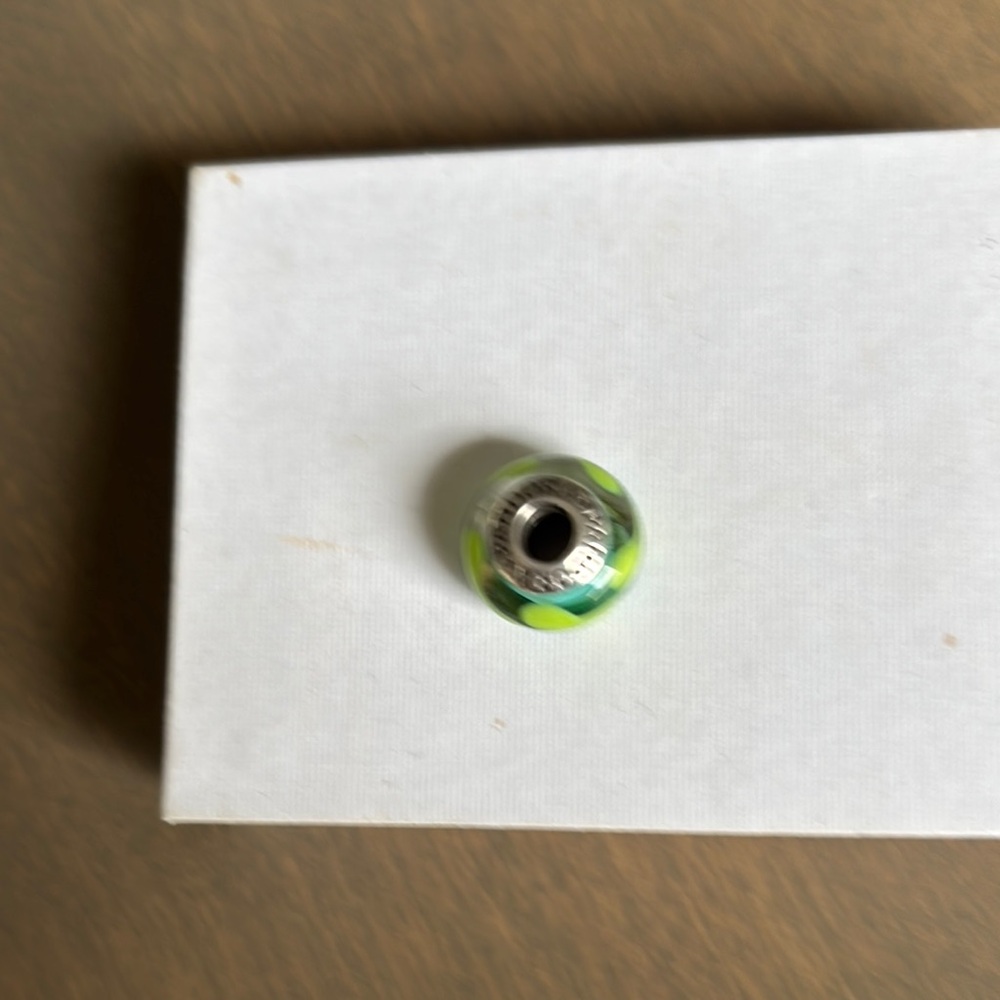 Pandora Green and Silver Charm